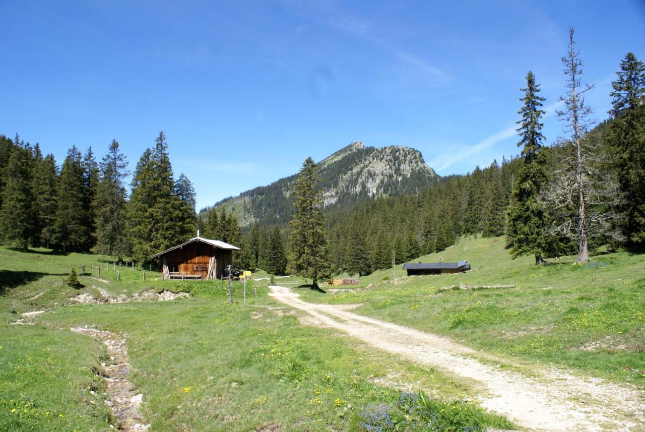 שוונגאו Gaestehaus Seeklause מראה חיצוני תמונה